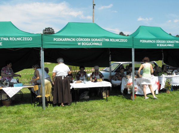 Dożynki Malinowe Połomia 2011