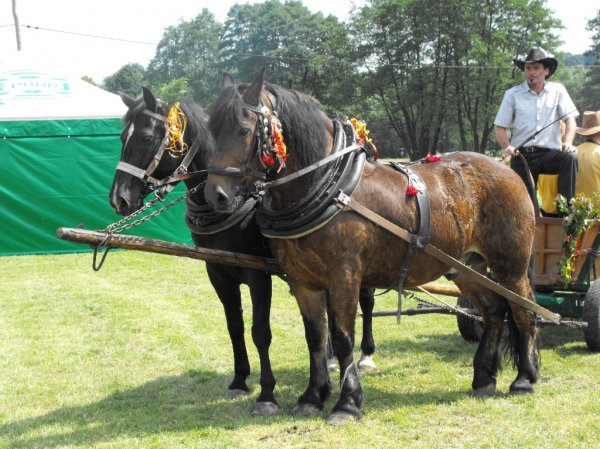 Zdjęcia z Dożynek z Połomi 2011