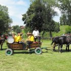 Dożynki Malinowe Połomia 2011