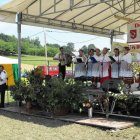 Dożynki Malinowe Połomia 2011