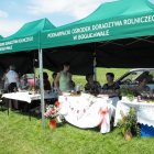 Dożynki Malinowe Połomia 2011