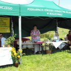 Dożynki Malinowe Połomia 2011