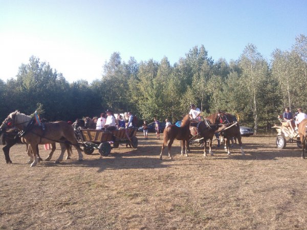 NARODZIN CHLEBA - GINĄCE ZAWODY