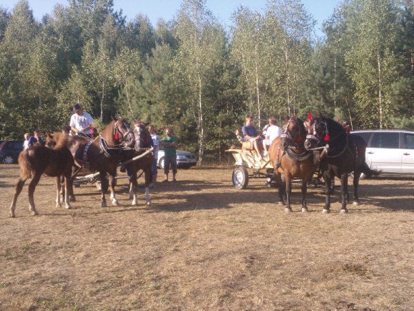 NARODZIN CHLEBA - GINĄCE ZAWODY
