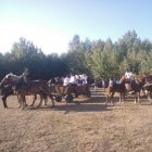 NARODZIN CHLEBA - GINĄCE ZAWODY