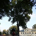 Koncert Pectus, Kordian i Santanos Wiśniowa