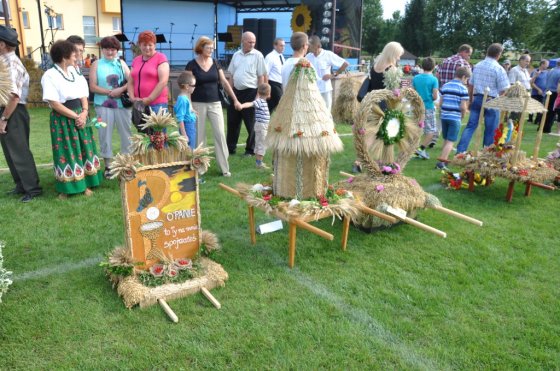 Zdjęcia z Powiatowo-Gminnego Święta Plonów we Frysztaku