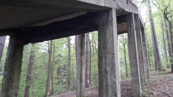 Skocznia narciarska w Strzyżowie