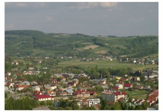 Strzyżów