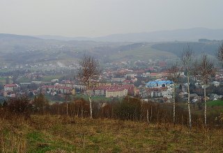Strzyżów