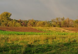 W jesiennym słońcu