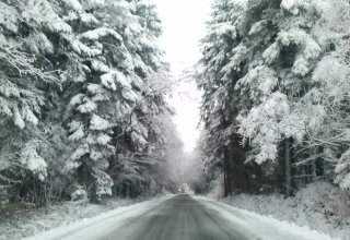 Droga w stronę Jawornika