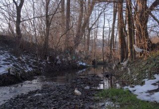 Polskie rzeki to śmietnik!