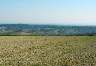 Widok z powiatu strzyżowiskiego