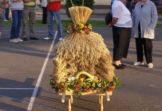 fot. Tomasz Bysiewicz