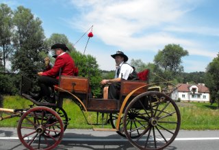 Dożynki 2011 w Strzyżowie