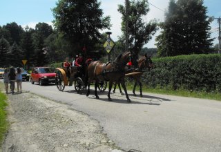 Dożynki 2011 w Strzyżowie