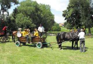 Dożynki Malinowe Połomia 2011
