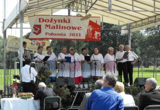 Dożynki 2011 w Strzyżowie