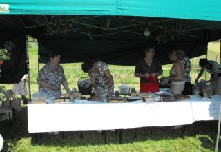 Dożynki 2011 w Strzyżowie