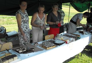 Dożynki 2011 w Strzyżowie