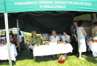 Dożynki 2011 w Strzyżowie
