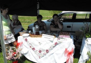 Dożynki 2011 w Strzyżowie