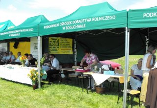 Dożynki 2011 w Strzyżowie