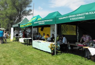 Dożynki 2011 w Strzyżowie