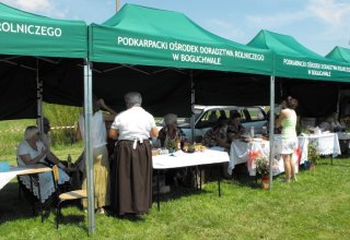 Dożynki Malinowe Połomia 2011