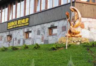 I Międzynarodowego Plener w Drewnie - Gogołowskie drzewoludy 2009