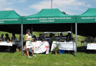 Dożynki Malinowe Połomia 2011