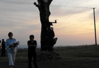 I Międzynarodowego Plener w Drewnie - Gogołowskie drzewoludy 2009