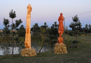 I Międzynarodowego Plener w Drewnie - Gogołowskie drzewoludy 2009