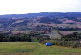 I Międzynarodowego Plener w Drewnie - Gogołowskie drzewoludy 2009