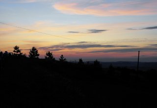 I Międzynarodowego Plener w Drewnie - Gogołowskie drzewoludy 2009