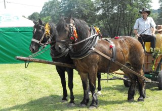 Zdjęcia z Dożynek z Połomi 2011