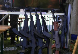 Piknik Wolności i Solidarności w Strzyżowie