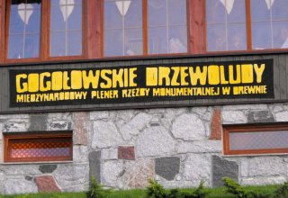 I Międzynarodowego Plener w Drewnie - Gogołowskie drzewoludy 2009