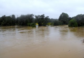 Powódź 2010 w Powiecie Strzyżowskim