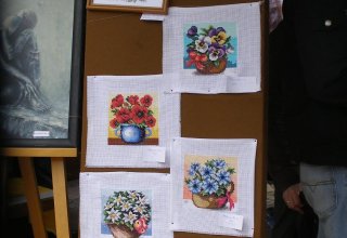 Drugi dzień obchodów Dni Ziemi Frysztackiej 2011