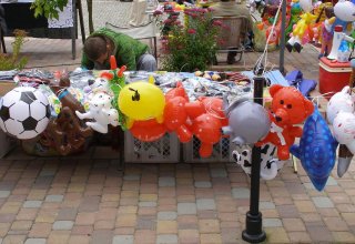 Drugi dzień obchodów Dni Ziemi Frysztackiej 2011