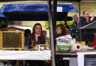 Drugi dzień obchodów Dni Ziemi Frysztackiej 2011