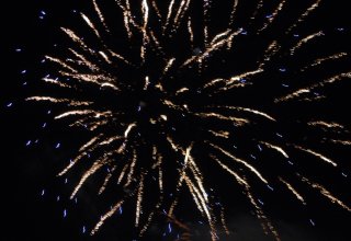 Galeria zdjęc z Dni Ziemi Frysztackiej 2013, koncert Sami