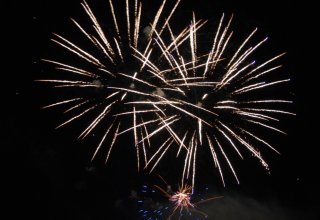 Galeria zdjęc z Dni Ziemi Frysztackiej 2013, koncert Sami