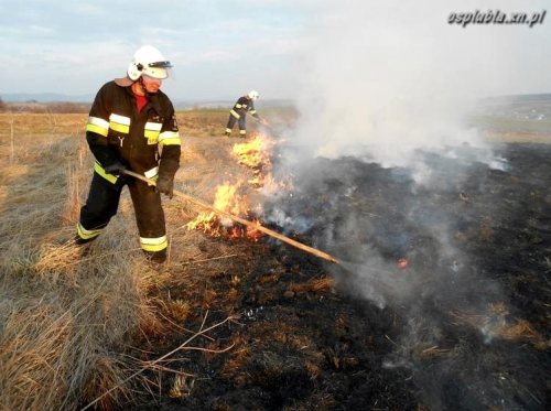 pożar lubla wypalanie traw