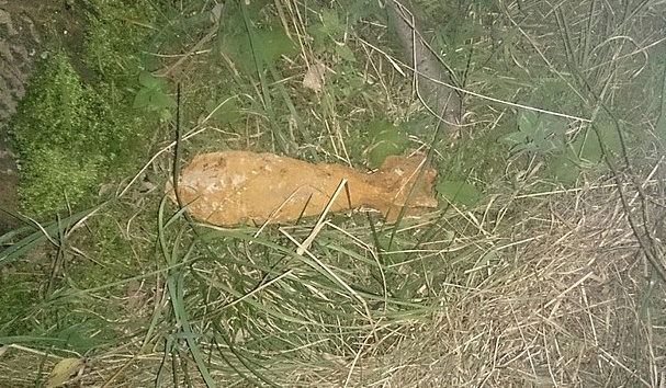 pocisk gogołów pocisk gogołów